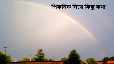 পিকনিক নিয়ে কিছু কথা