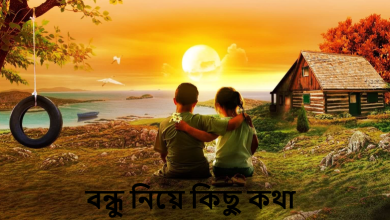 বন্ধু নিয়ে কিছু কথা