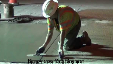 বিদেশে থাকা নিয়ে কিছু কথা