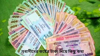 প্রবাসীদের কষ্টের টাকা নিয়ে কিছু কথা