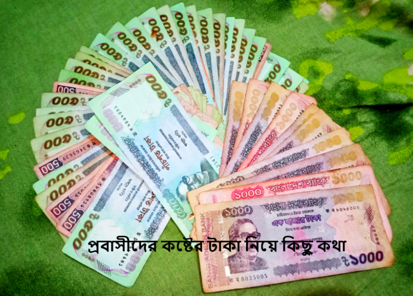 প্রবাসীদের কষ্টের টাকা নিয়ে কিছু কথা