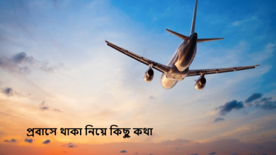 প্রবাসে থাকা নিয়ে কিছু কথা