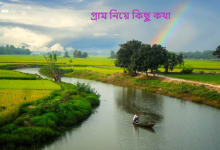 গ্রাম নিয়ে কিছু কথা