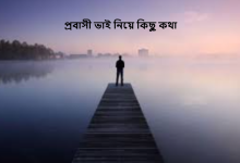 প্রবাসী ভাই নিয়ে কিছু কথা