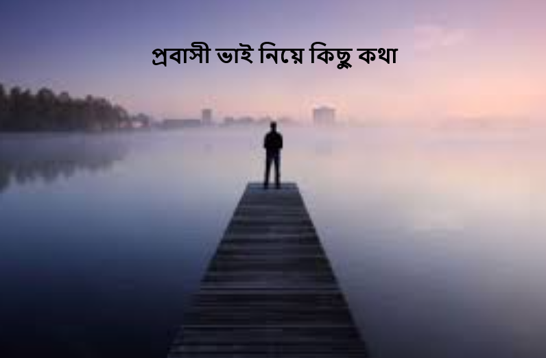 প্রবাসী ভাই নিয়ে কিছু কথা
