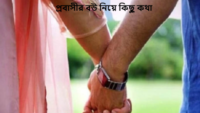 প্রবাসীর বউ নিয়ে কিছু কথা