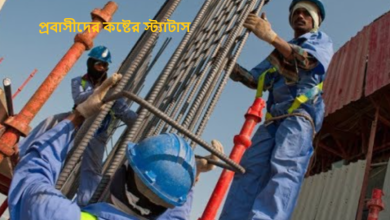 প্রবাসীদের কষ্টের স্ট্যাটাস