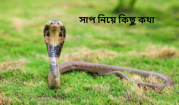 সাপ নিয়ে কিছু কথা