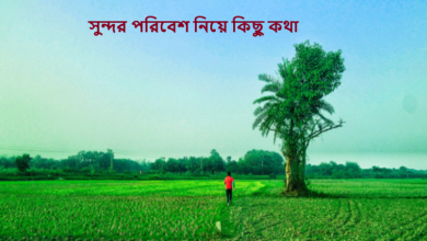 সুন্দর পরিবেশ নিয়ে কিছু কথা