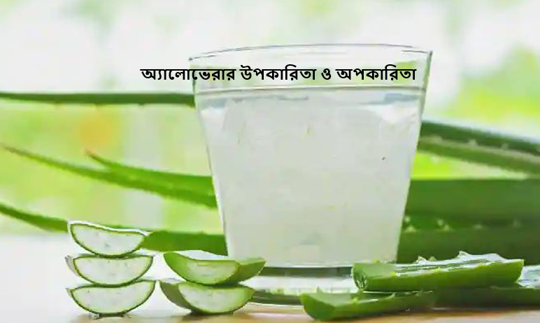 অ্যালোভেরার উপকারিতা ও অপকারিতা