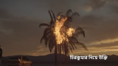 চিরকুমার নিয়ে উক্তি