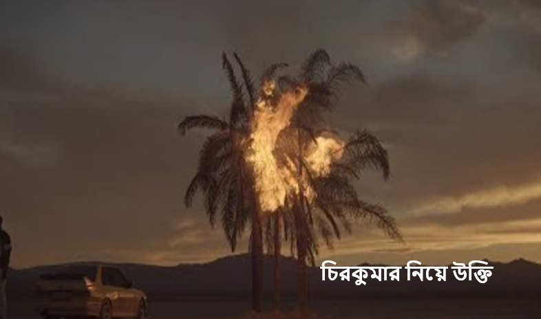 চিরকুমার নিয়ে উক্তি