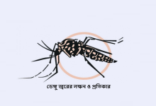 ডেঙ্গু জ্বরের লক্ষন ও প্রতিকার
