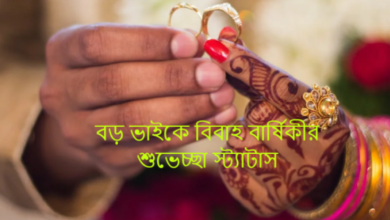 বড় ভাইয়ের বিবাহ বার্ষিকী শুভেচ্ছা