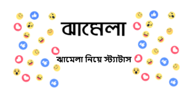 ঝামেলা নিয়ে স্ট্যাটাস