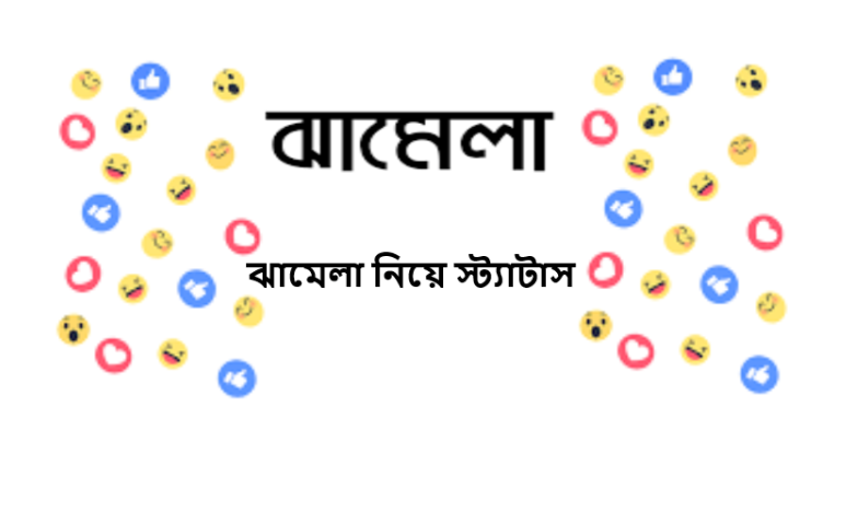 ঝামেলা নিয়ে স্ট্যাটাস