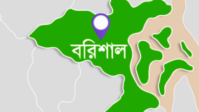 বরিশালের ভাষায় গালি