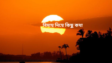 বিদায় নিয়ে কিছু কথা