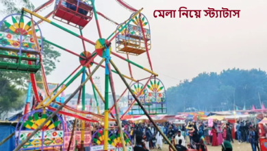 মেলা নিয়ে স্ট্যাটাস