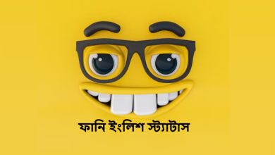 ফানি ইংলিশ স্ট্যাটাস