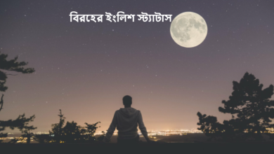 বিরহের ইংলিশ স্ট্যাটাস