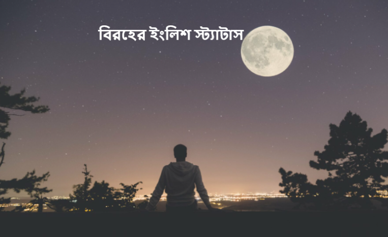 বিরহের ইংলিশ স্ট্যাটাস