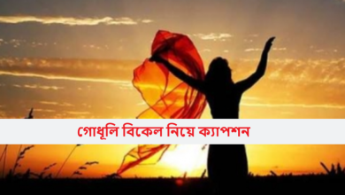 গোধূলি বিকেল নিয়ে ক্যাপশন