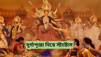 দুর্গাপূজা নিয়ে স্ট্যাটাস