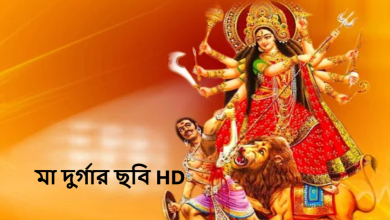 মা দুর্গার ছবি HD