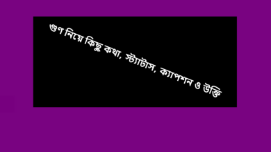 গুণ নিয়ে কিছু কথা