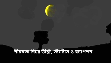 নীরবতা নিয়ে উক্তি