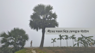শীতের সকাল নিয়ে ফেসবুকে স্ট্যাটাস