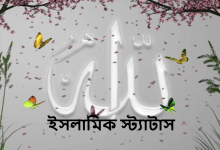 ইসলামিক স্ট্যাটাস