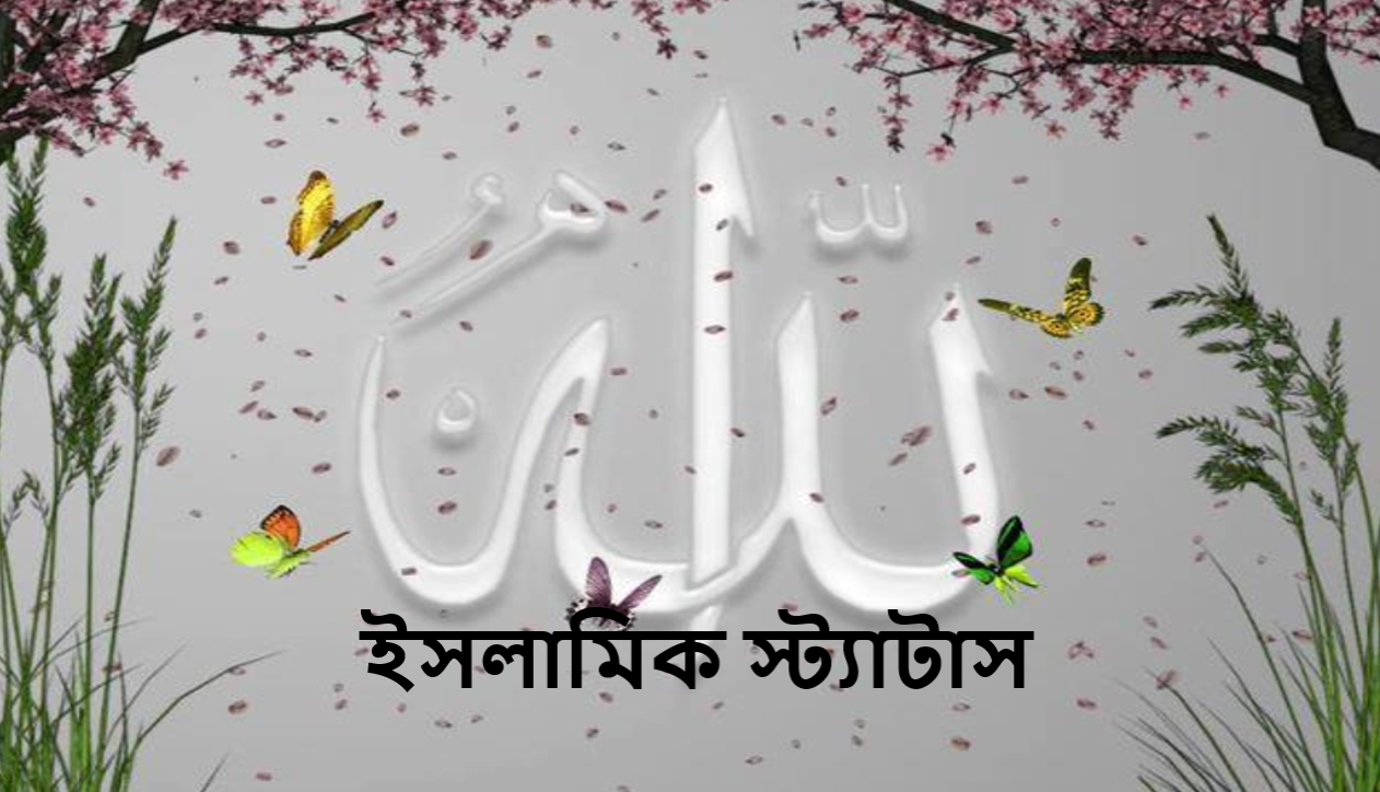 ইসলামিক স্ট্যাটাস