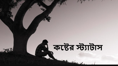 কষ্টের স্ট্যাটাস