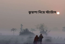 কুয়াশা নিয়ে স্ট্যাটাস