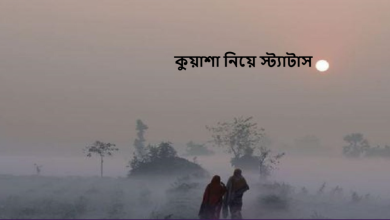 কুয়াশা নিয়ে স্ট্যাটাস