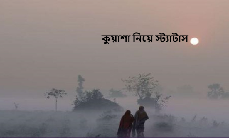 কুয়াশা নিয়ে স্ট্যাটাস
