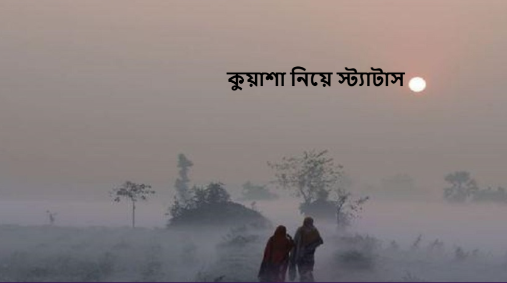 কুয়াশা নিয়ে স্ট্যাটাস