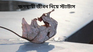 ক্ষণস্থায়ী জীবন নিয়ে স্ট্যাটাস
