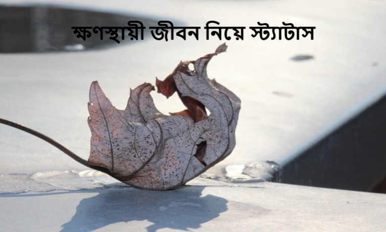 ক্ষণস্থায়ী জীবন নিয়ে স্ট্যাটাস