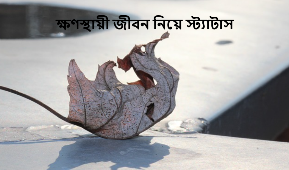 ক্ষণস্থায়ী জীবন নিয়ে স্ট্যাটাস