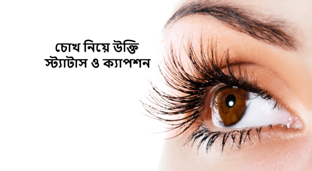 চোখ নিয়ে উক্তি