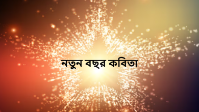 নতুন বছর কবিতা