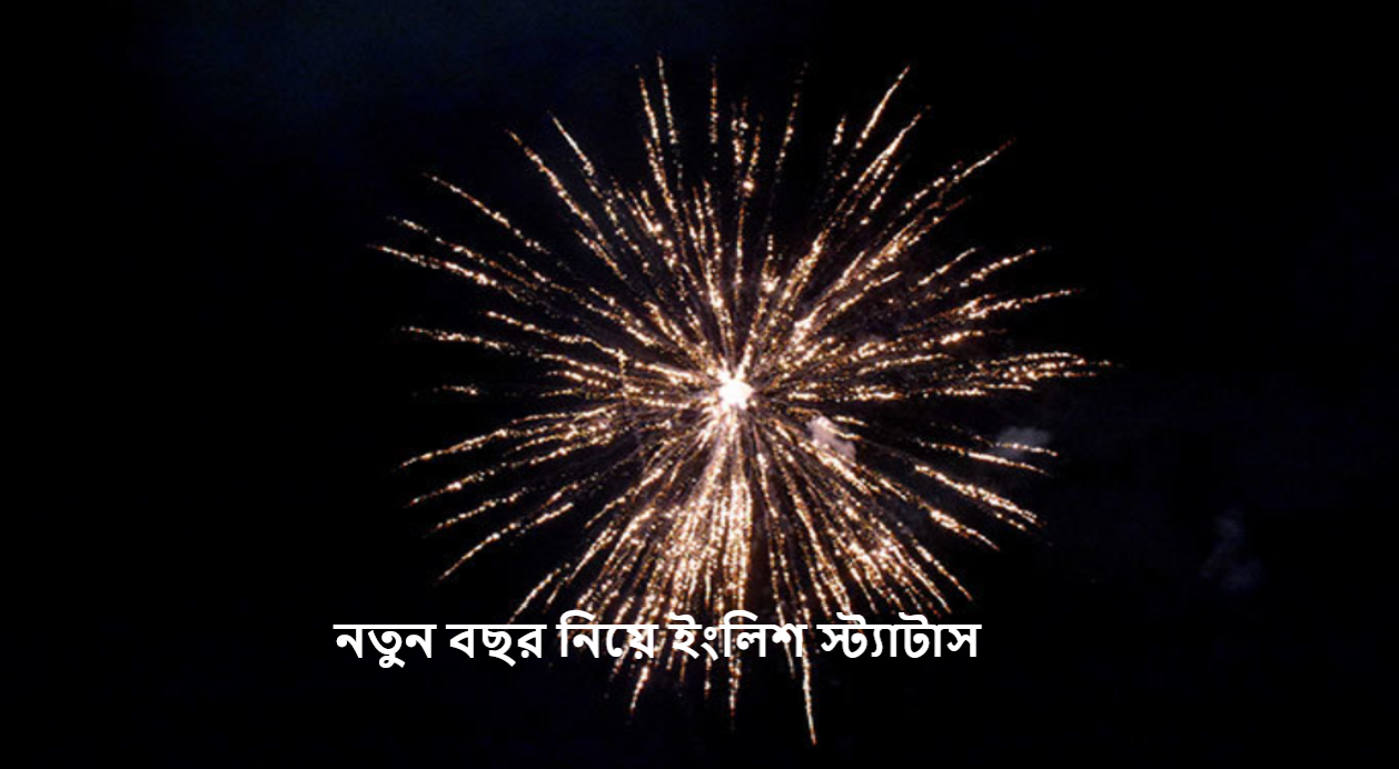 নতুন বছর নিয়ে ইংলিশ স্ট্যাটাস