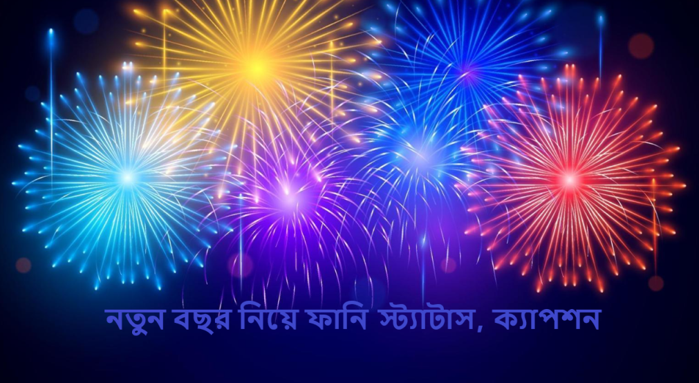 নতুন বছর নিয়ে ফানি স্ট্যাটাস, ক্যাপশন