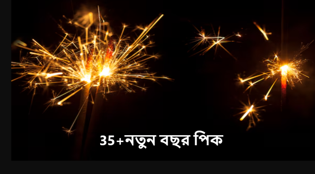 নতুন বছর পিক ২০২৫