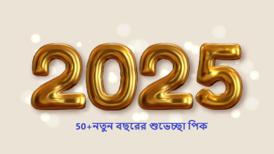 নতুন বছরের শুভেচ্ছা পিক