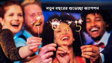 নতুন বছরের শুভেচ্ছা ২০২৫ ক্যাপশন