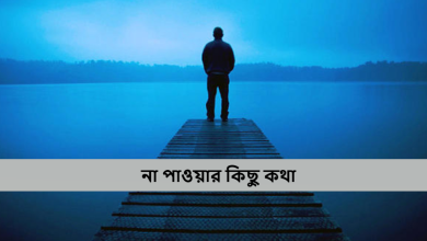 না পাওয়ার কিছু কথা